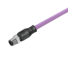 WEIDMULLER - Cavi dati in rame preconfezionati, 6 m, 2 poli, connettore maschio diritto, codice prodotto: SAIL-M12G-PB-6.0D.