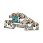 WEIDMULLER - Morsetto da installazione multi piano PUSH IN Beige scuro 4 mm² 30 A 250 V Numero di collegamenti 5 Numero di piani 3 TS 35 V-0 Wemid AITB 4 BB NDT-L-PE.