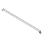 WEIDMULLER - Modulo LED 5700K White 24V 1108.3mA 26.6W 2735lm IP67 Connettore a innesto Filettatura del collegamento M12 WIL-LXXXX-RXSS-5700-1040-M12X-X0