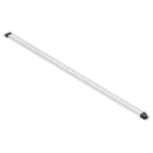 WEIDMULLER - Modulo LED 5700K White 1125 mA 27 W 3376 lm IP40 Connettore a innesto Filettatura del collegamento M8 WIL-SXXXX-FXSF-5700-1120-M8XX-S.