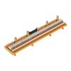 Miniatura Immagine principale 1