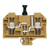 Miniatura Immagine principale 1