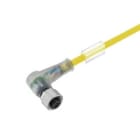 WEIDMULLER - Cavi sensore-attuatore preconfezionati, estremità senza connettore, M12, 3 poli, lunghezza cavo 3 m, connettore femmina angolare, SAIL-M12BW-2/4L3.0UGE.