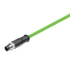 WEIDMULLER - Cavo EtherCat preconfezionato, un'estremità senza connettore, numero di poli 4, 5 m SAIL-M8G-4S5.0UIE.