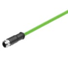 WEIDMULLER - Cavo EtherCat preconfezionato, un'estremità senza connettore, numero di poli: 4, 1.5 m SAIL-M8BG-4S1.5UIE.