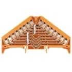 WEIDMULLER - Morsetto ripartitore di potenziale PUSH IN arancione 1.5 mm² 250 V 32 collegamenti 8 piani TS 35 x 7.5 V-0 policarbonat PPV 8 OR 35X7.5 DGR.