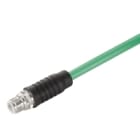 WEIDMULLER - Maschio, Connettore diritto, Collegamento crimpare SAISGC-M-4D-6.3/6.7-M12-CF.