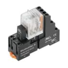 WEIDMULLER - Modulo a relè 24VDC con LED verde, diodo a corsa libera e 2 contatti di scambio (AgNi flash dorata), 250VAC, 10A, collegamento a vite e tasto di pro DRMKIT 24VDC 2CO LD.