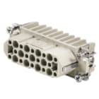 WEIDMULLER - Contatto Femmina 250V HDC HD 25 FC.