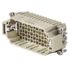 WEIDMULLER - Contatto maschio 250V HDC HDD 72MC.