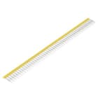 WEIDMULLER - ZQV 2.5N/50 GE