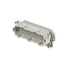 WEIDMULLER - Contatto Maschio 500V HDC HE 24MT.