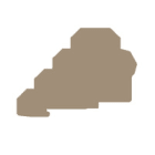 WEIDMULLER - AP VLI1.5 DB 1784150000