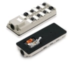 WEIDMULLER - Ripartitore passivo sensore-attuatore (senza cavo), Modulo completo, Passaggio parete posteriore, Giunto a nastro, 10 poli, Numero prese di contatto: SAI-8-B 4P M12 F10.