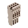 Miniatura Immagine principale 1