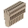 Miniatura Immagine principale 1