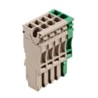 WEIDMULLER - Spina collegamento innesto 2.5 mm² ZP 2.5/1AN/5 GN/BE.