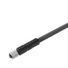 WEIDMULLER - Conduttore senza connettore M5 SAIL-M5BG-3P-5.0U.
