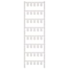 WEIDMULLER - Dispositivi innestabili 11 mm ESG 8/11 MC NE WS.