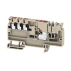 WEIDMULLER - Morsetto d'alimentazione PUSH IN Beige scuro 6 mm² 41 A 500 V Numero di collegamenti: 1 Numero di piani: 1 TS 35 V-0 Wemid AAP11 6/6X1.5 LO-LI RD.