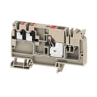 WEIDMULLER - Morsetto d'alimentazione PUSH IN Beige scuro 10 mm² 57 A 800 V Numero di collegamenti: 1 Numero di piani: 1 TS 35 V-0 Wemid AAP12 10/4X2.5 LO-LI RD.