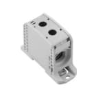 WEIDMULLER - Morsetto ripartitore di potenziale, collegamento a vite/a saldare, Grigio chiaro, 185 mm², 353 A, 1000 V, Numero di piani: 1, TS 35, V-0, Wemid WPD 132 1X185/1X185 GY.