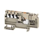 WEIDMULLER - Morsetto d'alimentazione PUSH IN Beige scuro 6 mm² 41 A 500 V Numero di collegamenti: 1 Numero di piani: 1 TS 35 V-0 Wemid AAP11 6/6X1.5 LO-LI OR.