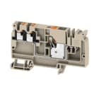 WEIDMULLER - Morsetto d'alimentazione PUSH IN Beige scuro 10 mm² 57 A 800 V Numero di collegamenti: 1 Numero di piani: 1 TS 35 V-0 Wemid AAP12 10/4X2.5 LO-LI OR.