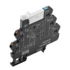 WEIDMULLER - Modulo a relè 24V DC LED verde Diodo a corsa libera Protezione contro inversione polarità 1 contatto NA AgNi 250V AC 6A PUSH TRP 24VDC ACT.