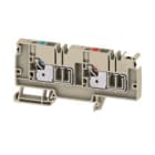 WEIDMULLER - Morsetto ripartitore di potenziale PUSH IN Beige scuro 6 mm² 250 V Numero di piani 1 TS 35 V-0 Wemid AAP13 6 LO-LO DL.
