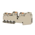 WEIDMULLER - Morsetto ripartitore di potenziale, collegamento a vite, beige scuro, 35 mm², 110 A, 1000 V, numero di collegamenti: 11, numero di piani: 1, TS 35, AWPD 35 4X6/6X2.5, V- 2728620000