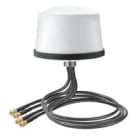 WEIDMULLER - Antenna WLAN IE-ANT-CELL/WL-MB-MIMO-DO