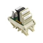 WEIDMULLER - Modulo d'interfaccia con morsetto, connettore, integrato, Connettore a norma IEC60603-13 / DIN41651, 10 poli, Collegamento a vite