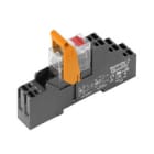 WEIDMULLER - Modulo a relè 230V AC LED rosso 1 Contatto di scambio (AgNi) 250V AC 16A PUSH IN Tasto di prova disponibile Sì RCIKITP230VAC 1CO LD/PB