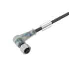 WEIDMULLER - Conduttore senza connettore M12 SAIL-M12BW-3L5.0U.