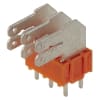 Miniatura Immagine principale 1