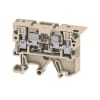 Miniatura Immagine principale 1