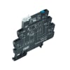 Miniatura Immagine principale 1