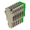 Miniatura Immagine principale 1