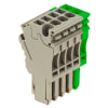 Miniatura Immagine principale 1