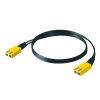 Miniatura Immagine principale 1