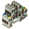 Miniatura Immagine principale 1