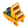 Miniatura Immagine principale 1