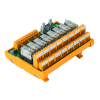 Miniatura Immagine principale 1