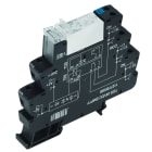 WEIDMULLER - Modulo a relè, 24 V DC ±20 %, LED verde, 1 contatto NA (AgSnO + W) , 250 V AC, 16 A, Collegamento a vite