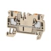 Miniatura Immagine principale 1
