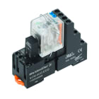 WEIDMULLER - Modulo a relè, 24 V DC, LED verde, 4 Contatto di scambio (AgNi flash dorata) , 250 V AC, 5 A, Collegamento a vite