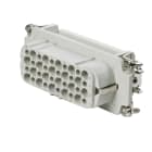 WEIDMULLER - Inserto di contatto (Connettori a innesto industriali), Femmina, 250 V, 10 A, Numero di poli: 40, Collegamento a crimpare, Dimensioni di installazione