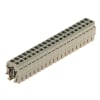 Miniatura Immagine principale 1