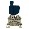Miniatura Immagine principale 1